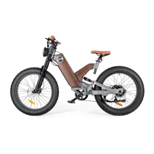 All Terrain Fat Tire Electric Hybrid Mountain Bikes